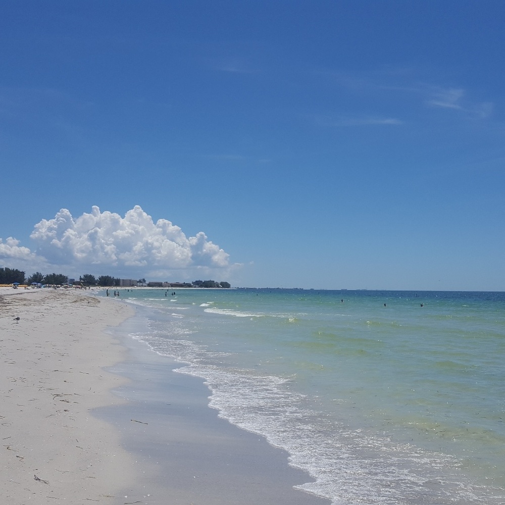 Meet your Posher, Alisha